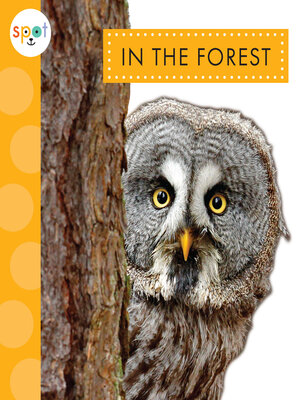 cover image of In the Forest